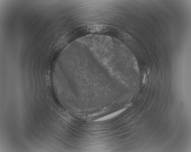 X0000055970510200509091447