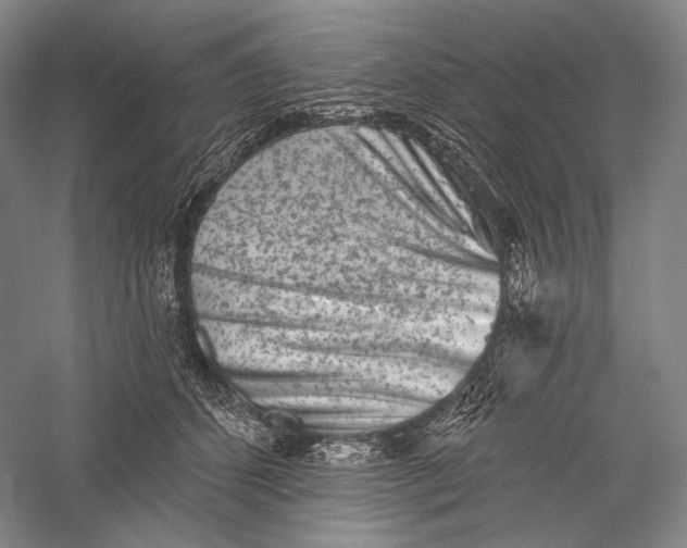 X0000055970512200509091447