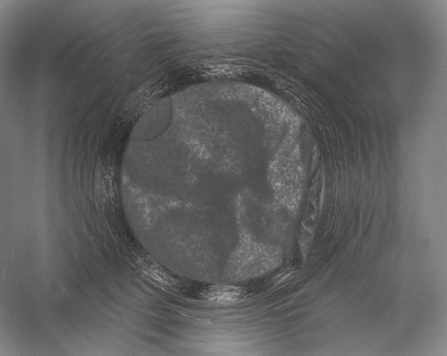 X0000055970514200509091447