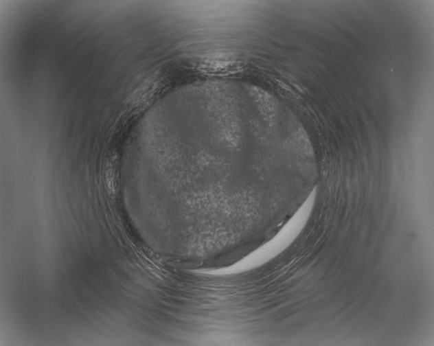 X0000055970515200509091447