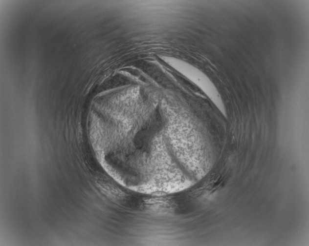 X0000055970516200509091447