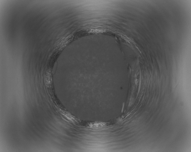 X0000055970517200509091447