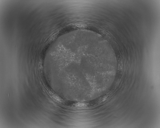 X0000055970518200509091447
