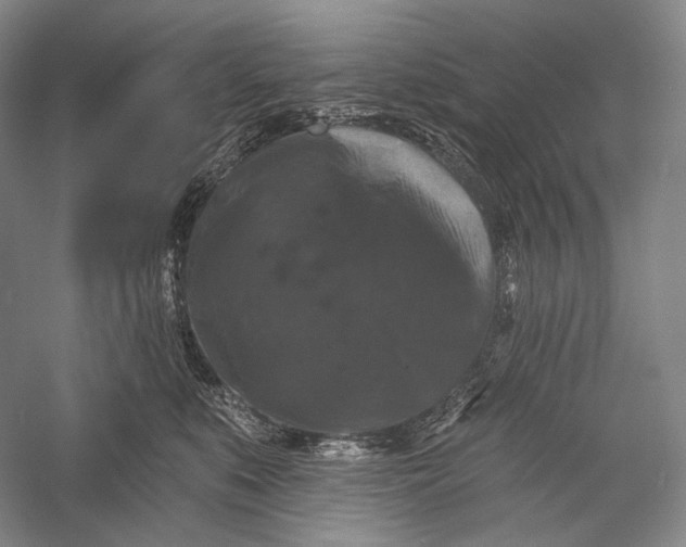 X0000055970519200509091447