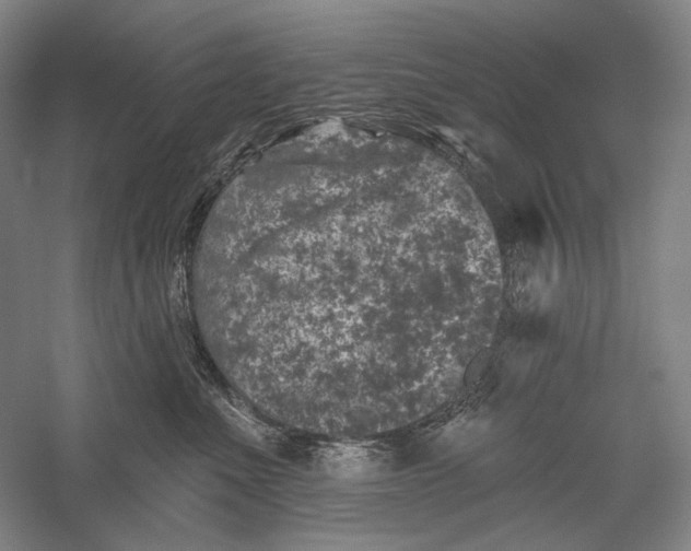 X0000055970523200509091447