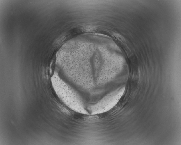 X0000055970525200509091447