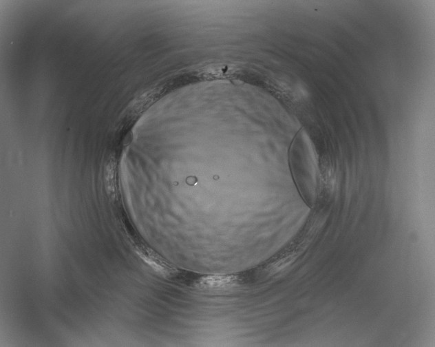 X0000055970526200509091447