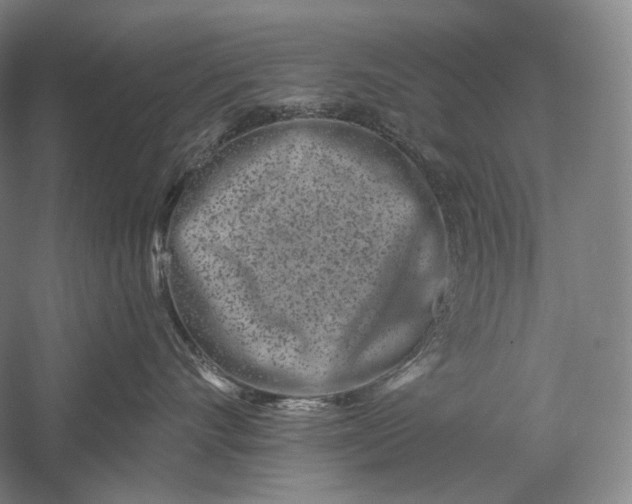 X0000055970528200509091447