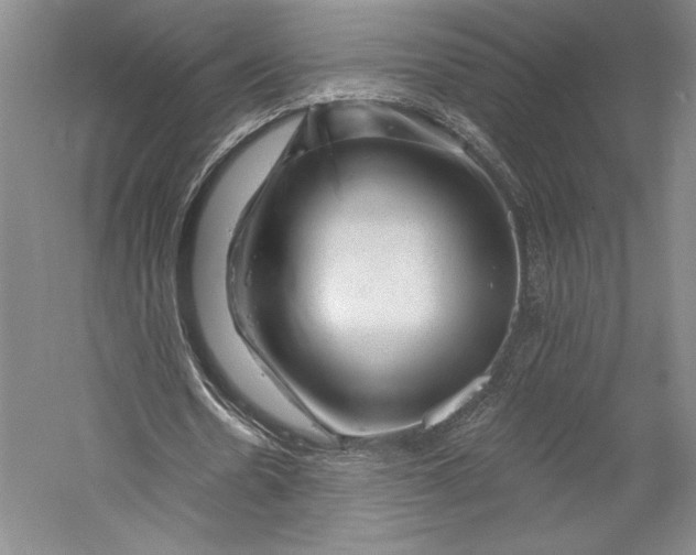 X0000055970530200509091446