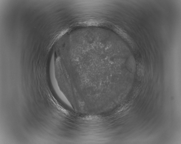X0000055970537200509091446