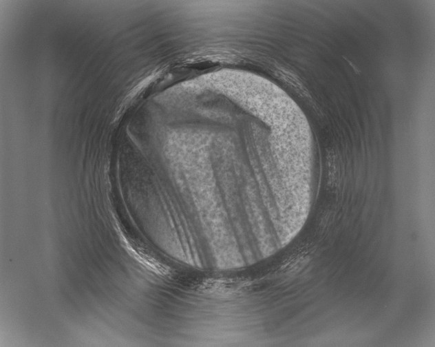 X0000055970538200509091446