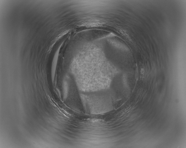 X0000055970539200509091446