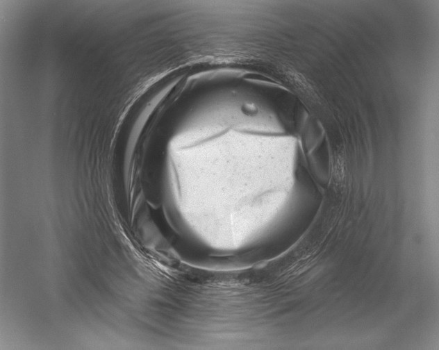 X0000055970540200509091446