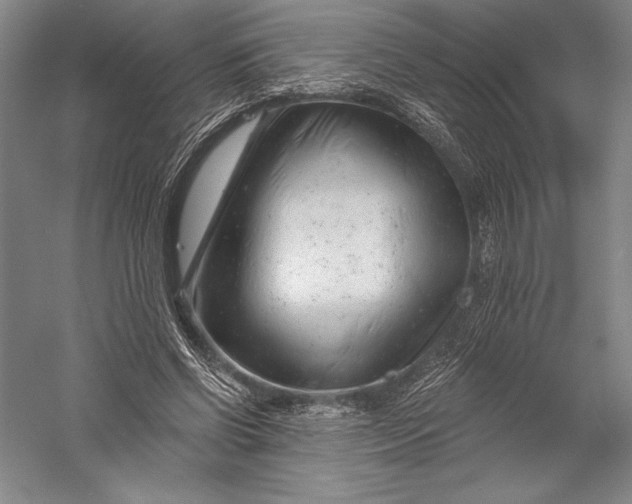 X0000055970542200509091446