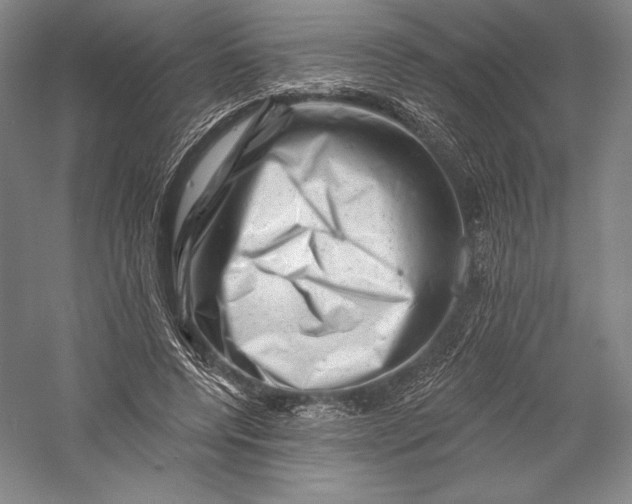 X0000055970544200509091447