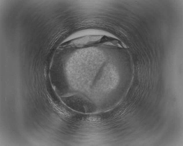 X0000055970546200509091447