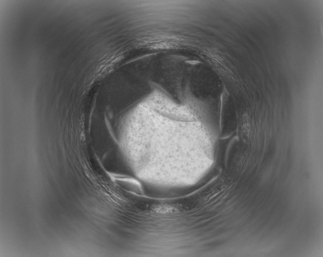 X0000055970547200509091447