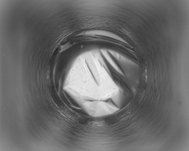 X0000055970548200509091447