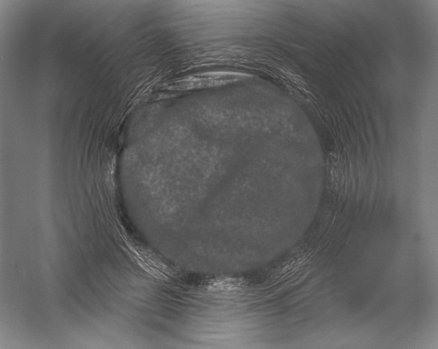 X0000055970550200509091447