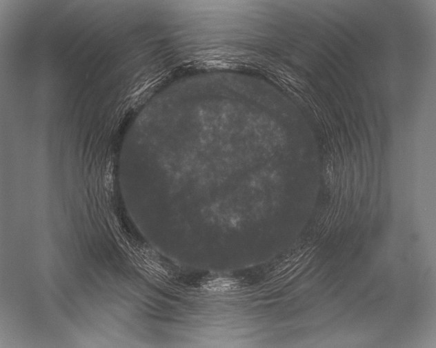 X0000055970551200509091447