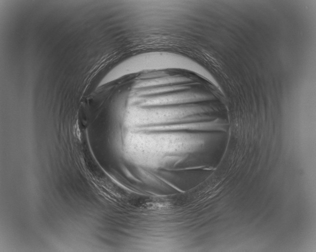 X0000055970552200509091447