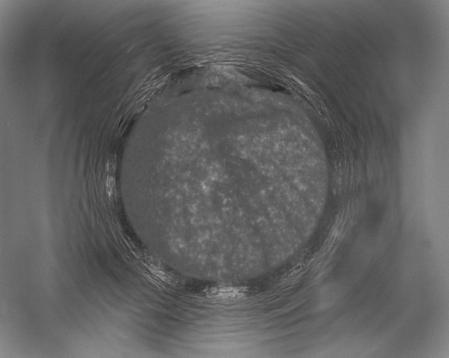 X0000055970553200509091447