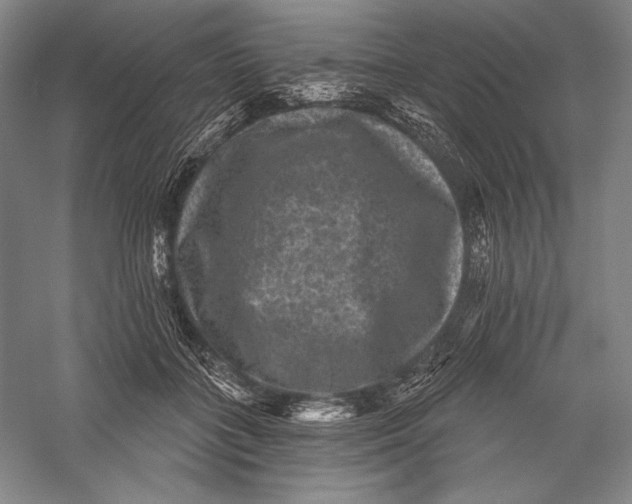 X0000055970555200509091447