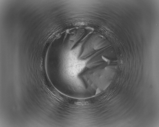 X0000055970556200509091447