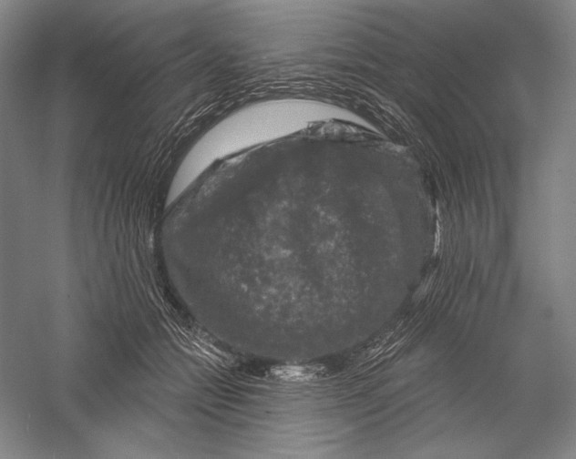 X0000055970558200509091447