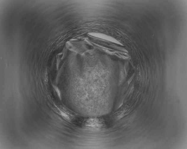 X0000055970562200509091447