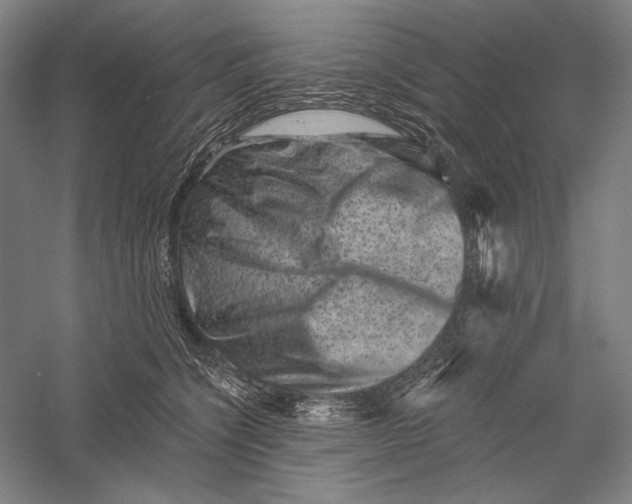 X0000055970564200509091447