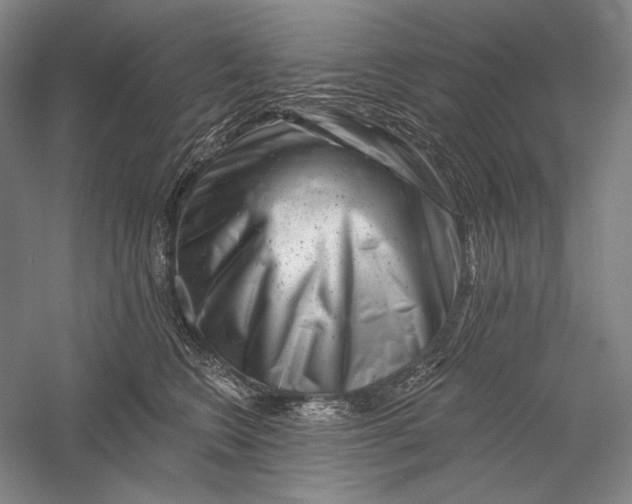 X0000055970566200509091447