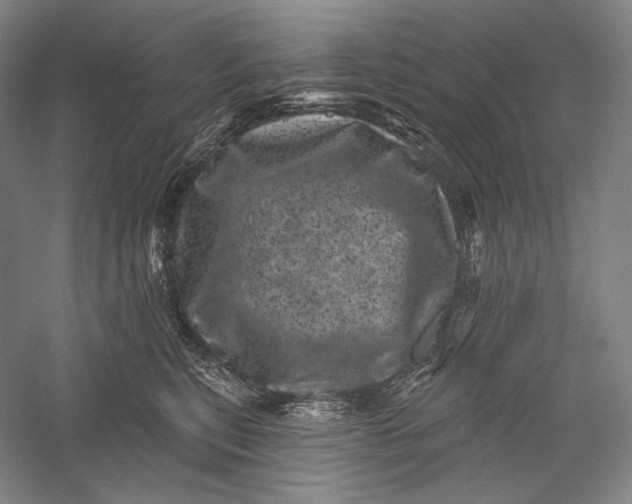 X0000055970567200509091447