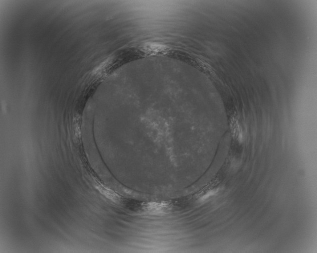 X0000055970570200509091447