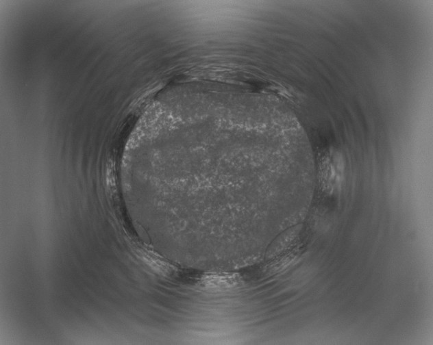 X0000055970571200509091447