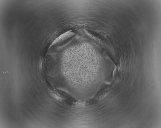 X0000055970574200509091447