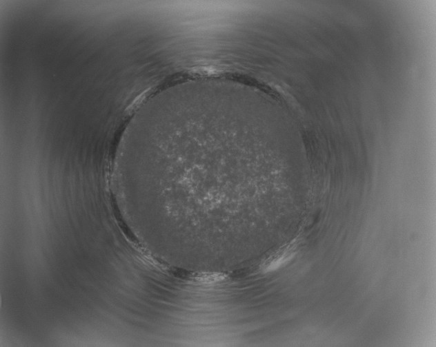 X0000055970576200509091447