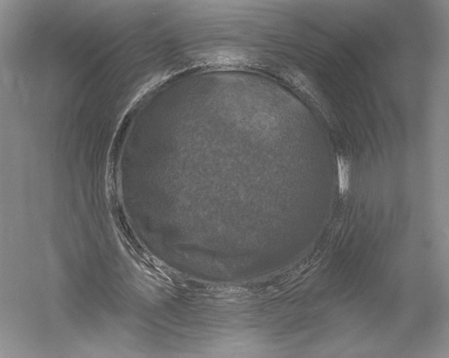 X0000055970579200509091446