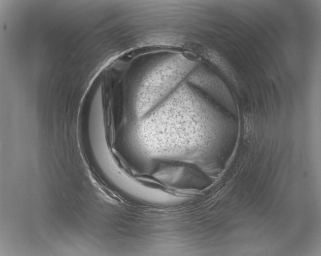 X0000055970580200509091446