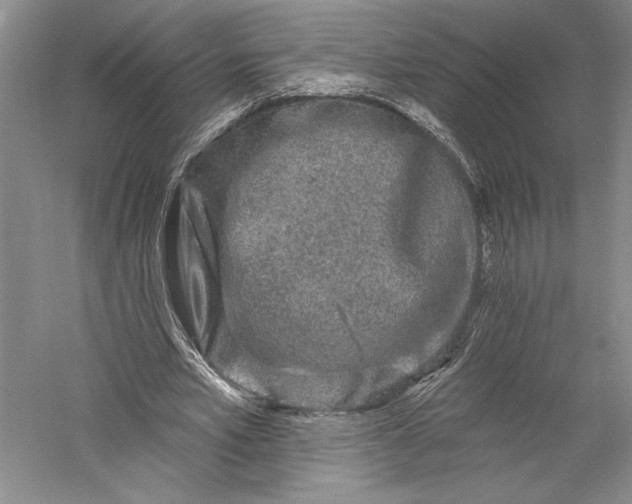 X0000055970581200509091446