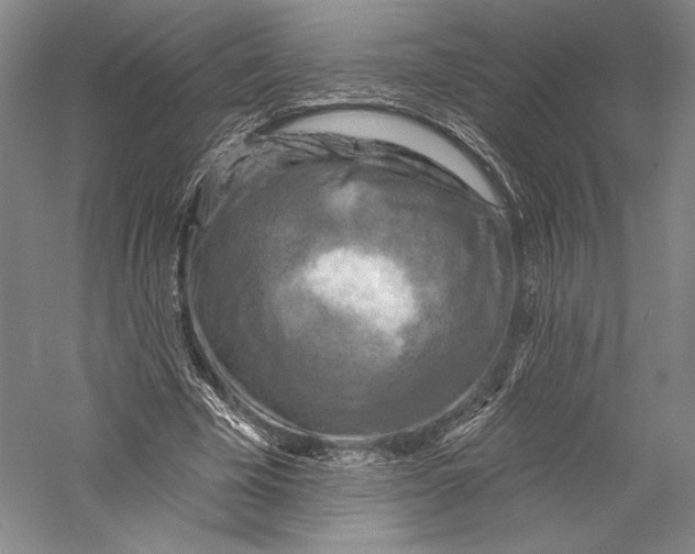 X0000055970585200509091446