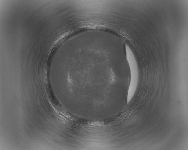 X0000055970587200509091446