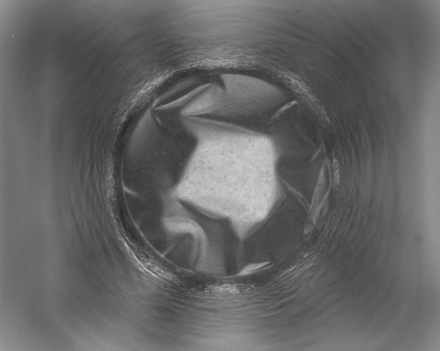 X0000055970588200509091446