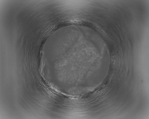 X0000055970593200509091446