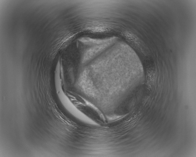 X0000055970596200509091446