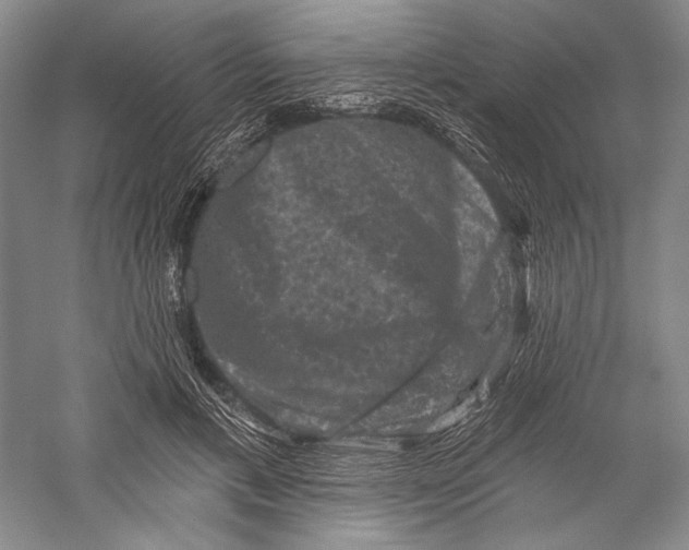 X0000055970597200509091446