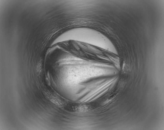 X0000055970600200509091446