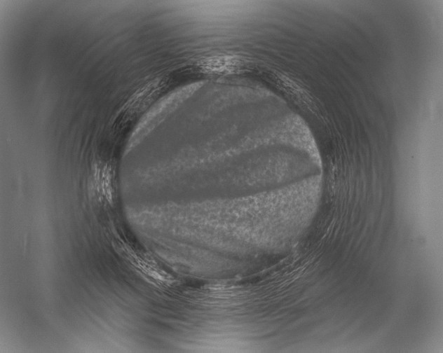 X0000055970601200509091446