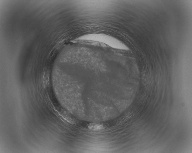 X0000055970602200509091446