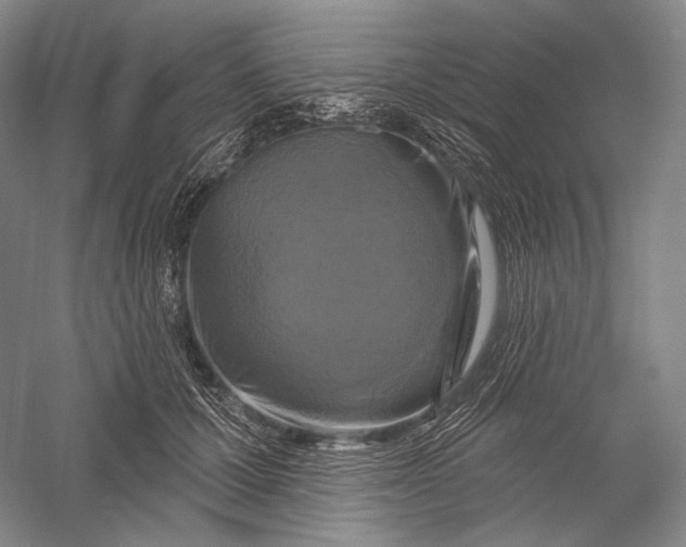 X0000055970607200509091446